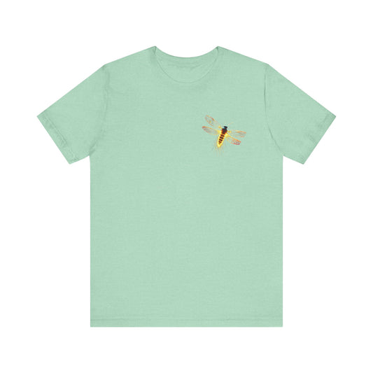 Firefly Collection